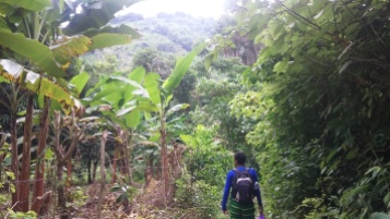 Hiking to the Olla.